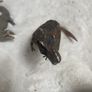 Schleich dinosaur and crocodiles Image 3