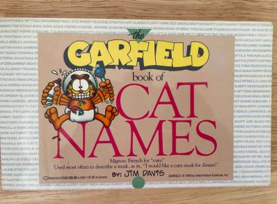 Garfield Book of Cat Names By Jim Davis