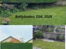 Professional Garden Maintenance - Dublin & North Wicklow Image 7