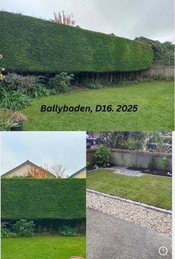 Professional Garden Maintenance - Dublin & North Wicklow