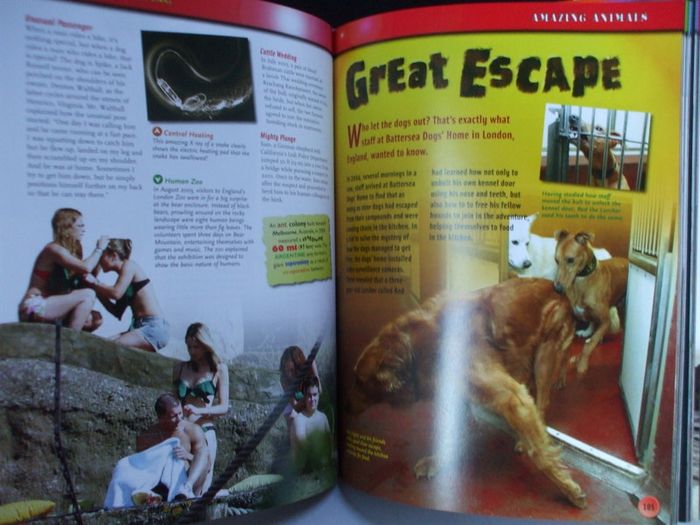 SALE! RIPLEY'S Believe It Or Not! - 2007 Expect ...The Unexpected