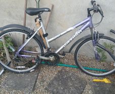 Ladies bike