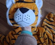 Tiger Costume
