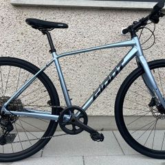 2026 Giant Escape Disc 1  Size M  6 month old