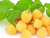 Golden Queen yellow raspberry 2l pot available in September 2024