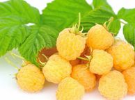 main image for ad Golden Queen yellow raspberry 2l pot available in September 2024