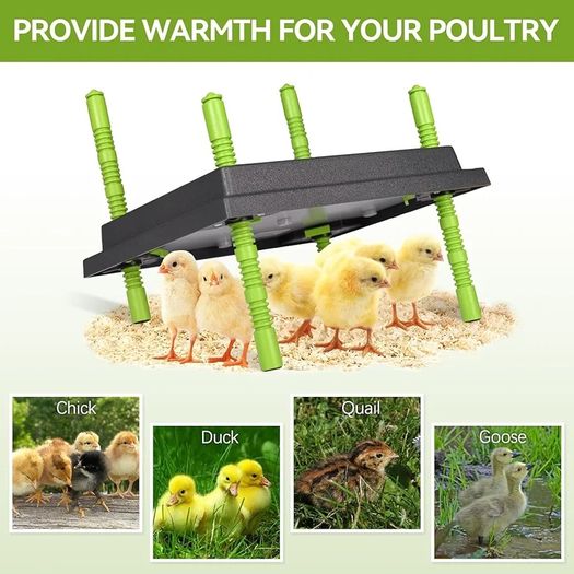 Chick Brooder Heating Plate, 10"x12"Chicken Brooder Heater with Adjustable Height for Baby Chick & Duckling, 20W Brooder Plate for Up to 15 Chick, Replacement Heat Lamp Warm Like Mother Hen