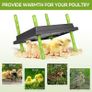 Chick Brooder Heating Plate, 10"x12"Chicken Brooder Heater with Adjustable Height for Baby Chick & Duckling, 20W Brooder Plate for Up to 15 Chick, Replacement Heat Lamp Warm Like Mother Hen Image 5
