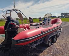 Rib