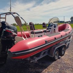 Rib