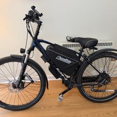 electric bike