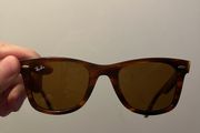 RayBan Wayfarer Sunglasses