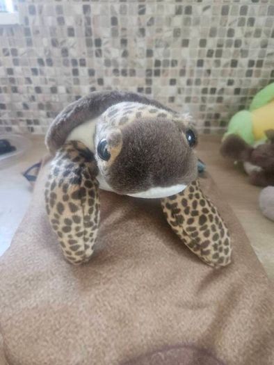 Turtle Teddy Bear