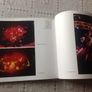 Every Day is Saturday: The Rock Photography of Peter Ellenby. Image 6