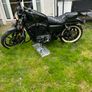 Harley Davidson sportster 883 Iron Image 2