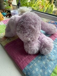 jellycat