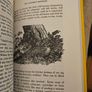 The Poacher's Handbook. By Ian Niall. With Wood Engravings By Barbara Greg. Hardback With Dustjacket In Very Good Condition.  See Photos For Same. Image 7