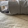 Foldable soft cat tunnel Image 2