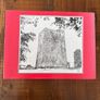 The Castles of County Cork by James N. Healy Image 2