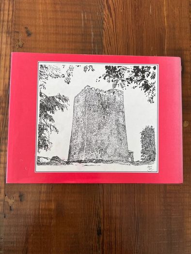 The Castles of County Cork by James N. Healy