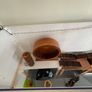 Hamster cage and accessories Image 2
