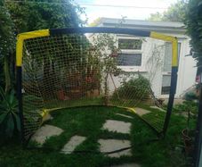 Goal post