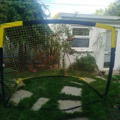 Goal post