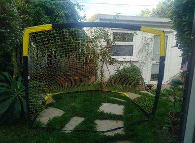 Goal post