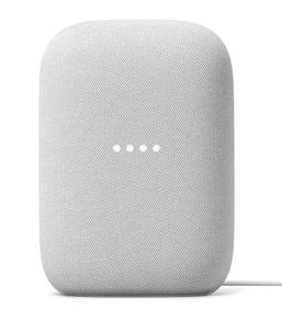 Google Nest Speaker