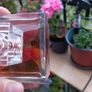 David Beckham, Instinct. 75 ml. Original, with batch code. Image 2