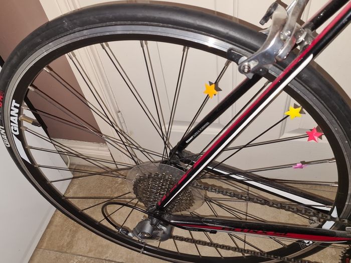 Giant Defy Road Bike