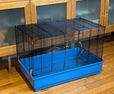 Used Rat/Small Animal Cage with Deep Tray, No Wooden Platforms