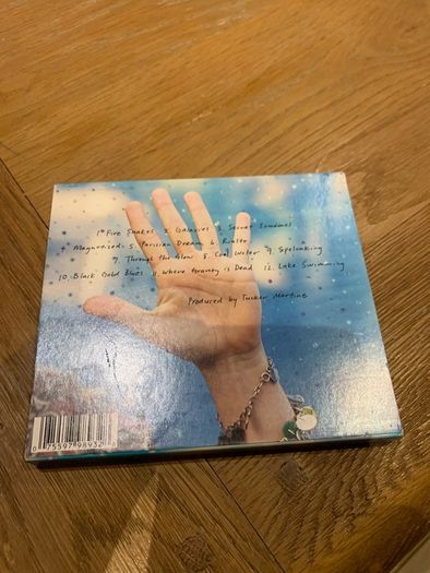 Laura Veirs /Year of Meteors