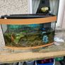 Juwel Aquarium Image 3