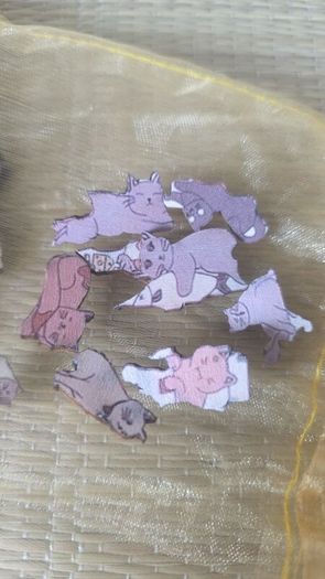 Cats puzzle