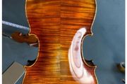 Viola