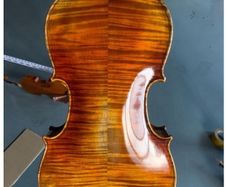 Viola