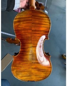 Viola