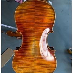 Viola