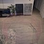 puppy playpen and cage Image 4
