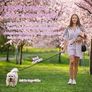 MULTIPLE COLOURS AVAILABLE | Dog Lead, 5M/16FT Extendable Dog Lead 360 Degree Tangle-Free Smooth&Durable Nylon Tape Image 9