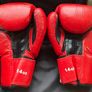 14oz Everlast Gloves Image 2