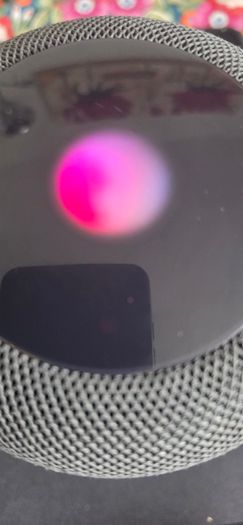 Apple Ipod +Apple Homepod