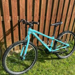 Mountain bike kids needs a bit of cleaning and would be basically new