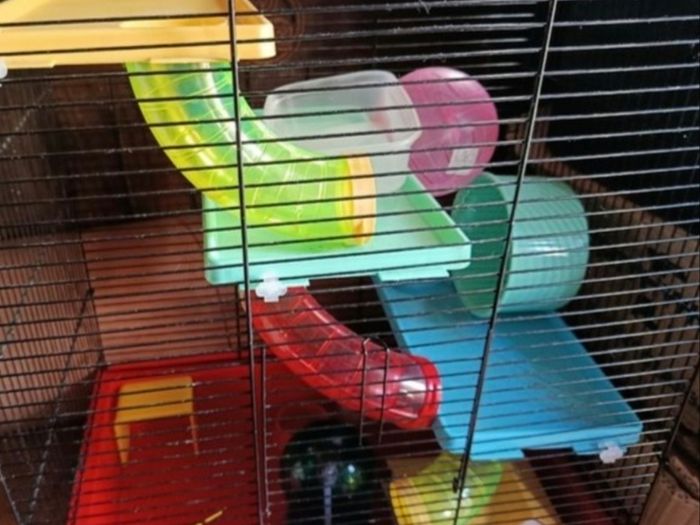 Cage for hamster or small animal
