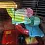 Cage for hamster or small animal Image 2