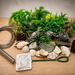 Fish Tank Decorations & Accessories
