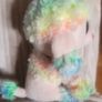 Retired Ty Rainbow the Poodle Beanie Boo 6" 18cms Plush Soft Toy Image 3
