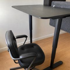 Sit/stand adjustable professional  Desk