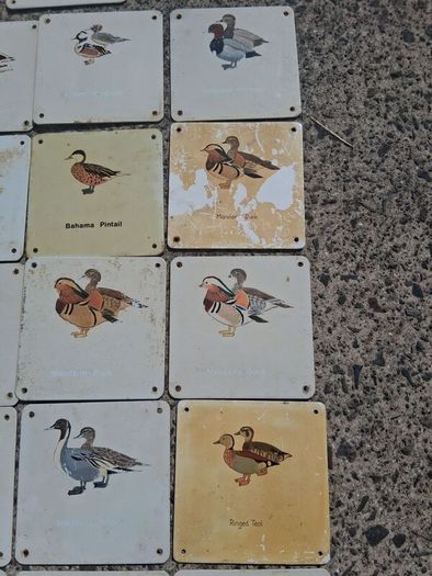 37 X Mid Century Avian Metal Display Plaques